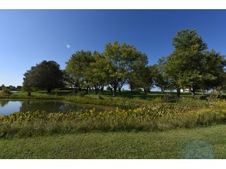 Property photo 54 - Tillable, Pasture, Recreational, Hunting and Fishing Property  